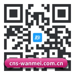iPhone 专版 二维码