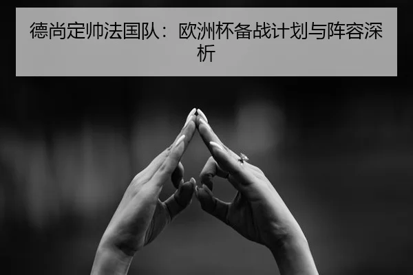 德尚定帅法国队：欧洲杯备战计划与阵容深析